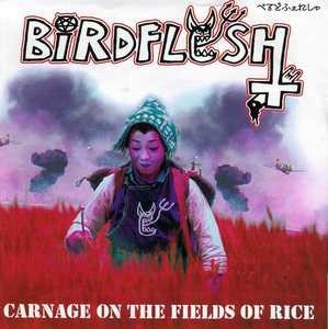 Birdflesh – Carnage On The Fields Of Rice (2023) Vinyl 7″