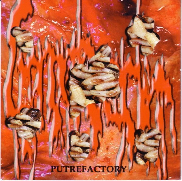 Gonorrhoeaction – Schatten / Putrefactory (2022) Vinyl 7″