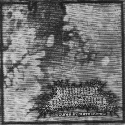 Inhuman Dissiliency – Obscured In Putrescence (2022) CDr