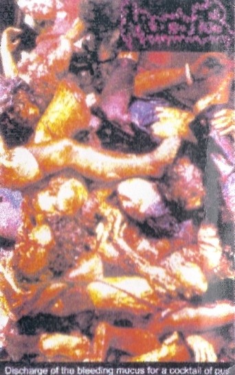Loggerhead Christ – Discharge Of The Bleeding Mucus For A Cocktail Of Pus / Immorality (1998) Cassette